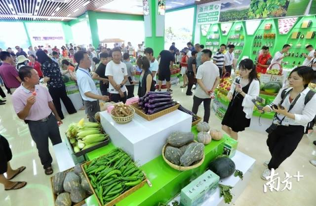 連州土壤硒含量豐富，富硒農(nóng)特產(chǎn)品吸引了眾人關(guān)注的目光。梁素雅 攝