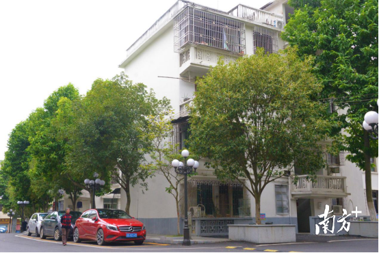 完成部分改造升級(jí)后的市政府生活區(qū)。張曉欣 攝