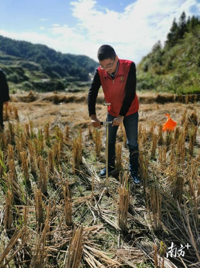 技術(shù)人員深入田間地頭開展土壤取樣、分析。通訊員供圖