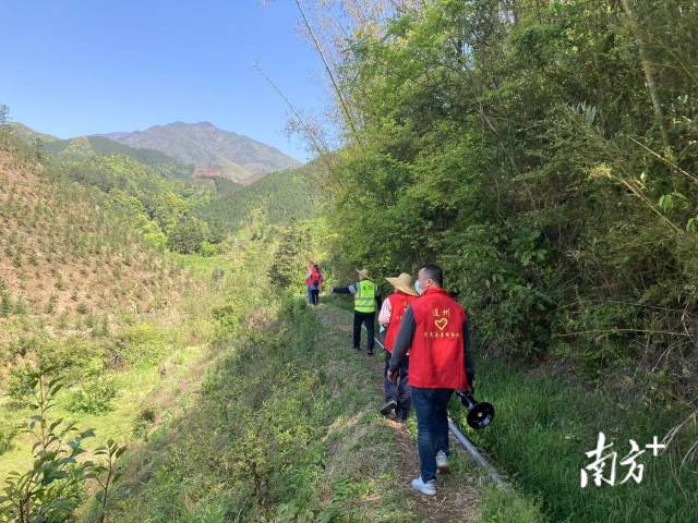 巡山。