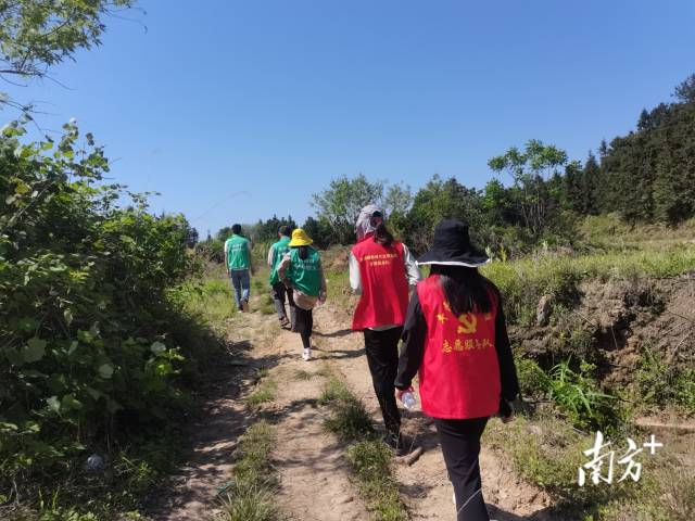 豐陽鎮(zhèn)的440余名黨群志愿者堅守先鋒崗，守護豐陽的綠水青山。
