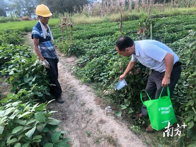 噴灑施藥。