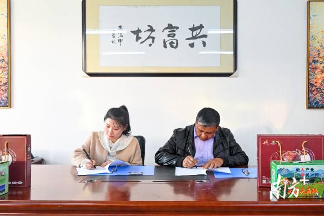 企業(yè)采購(gòu)意向簽約儀式。張曉欣 攝