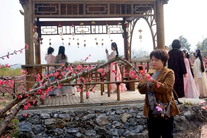 桃花節(jié)在九陂鎮(zhèn)開幕，迎來八方游客。清遠(yuǎn)日報(bào)記者 周璐攝。