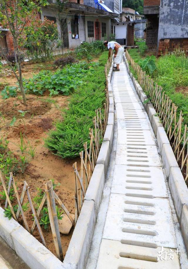50個自然村建有污水處理系統。記者黃津 攝