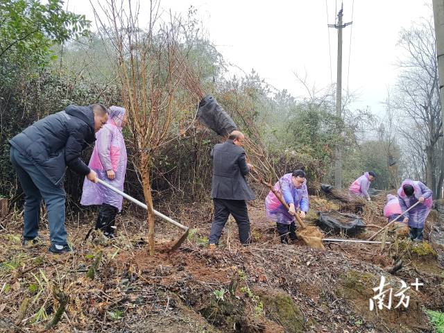 九陂鎮(zhèn)掀起全民義務(wù)植樹熱潮。