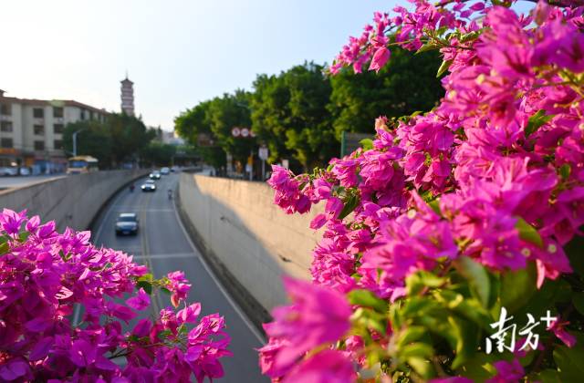 連州織就一張“外聯(lián)內(nèi)暢、城鄉(xiāng)融合”的立體交通藍圖。黃津 攝