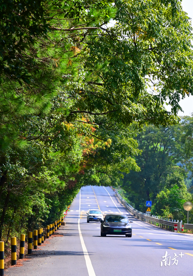 連州“四好農(nóng)村路”省級示范縣創(chuàng)建考核總分排全省第二。黃津 攝