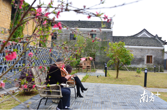 鄉(xiāng)村民宿。黃津 攝