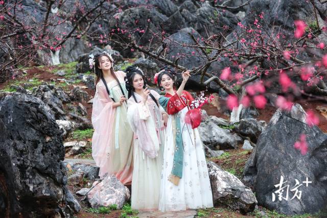 國風(fēng)少女打卡連州桃花季。