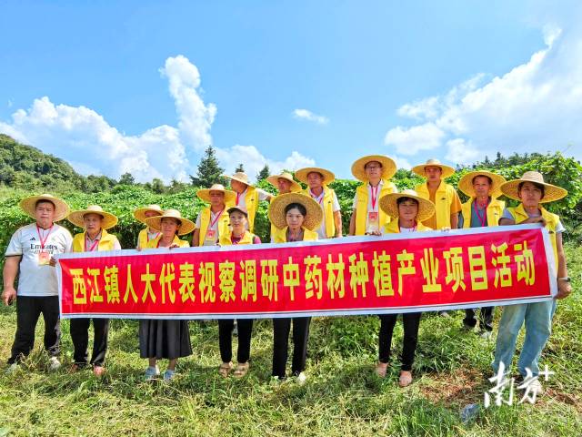 代表們實(shí)地調(diào)研，為產(chǎn)業(yè)振興培育新動能。 西江鎮(zhèn) 供圖