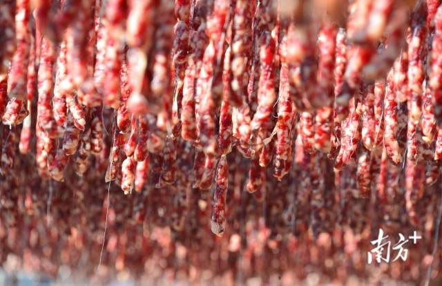 國家地理標(biāo)志保護(hù)產(chǎn)品東陂臘味。黃津 攝