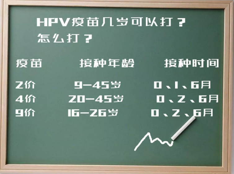 1544545892391337.png 圖片1.png